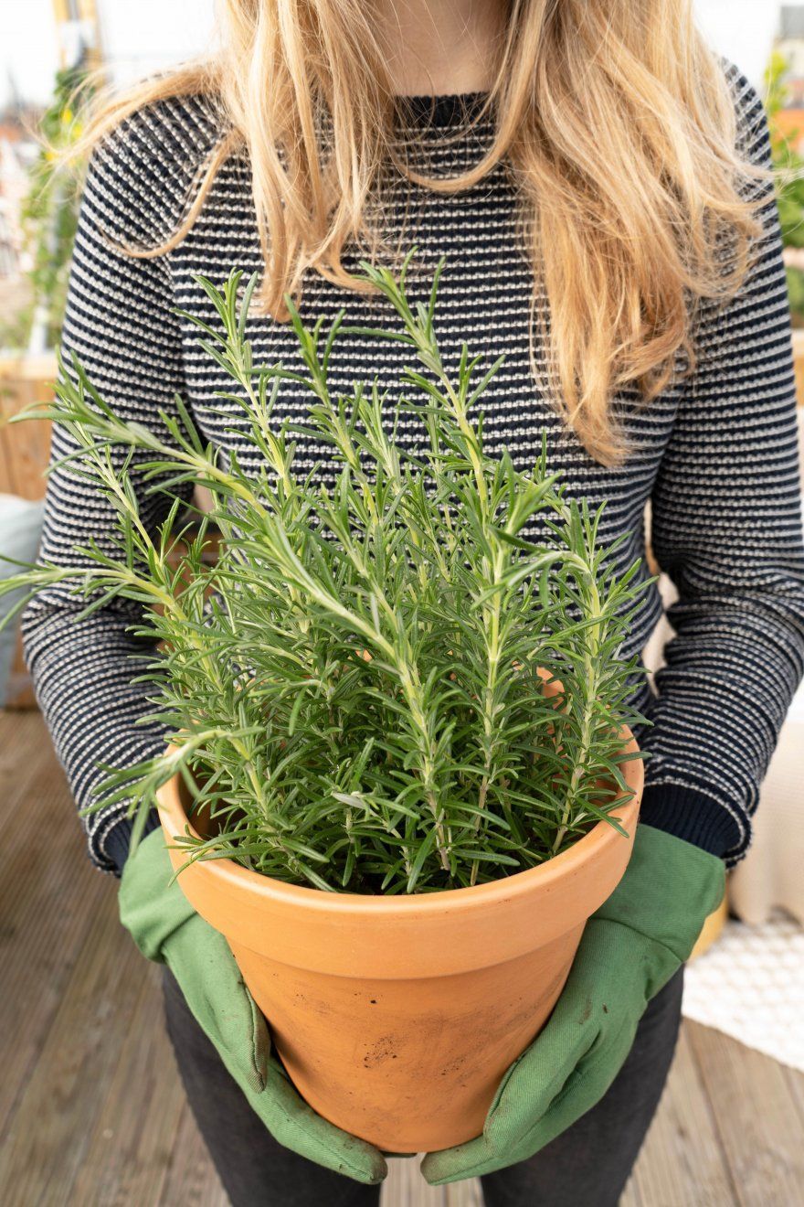 Tuinhandschoenen bij het tuinieren