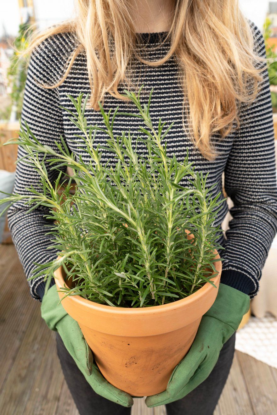 Tuinhandschoenen bij het tuinieren