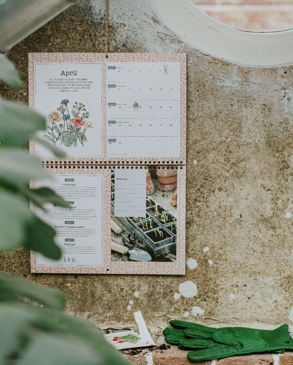 Moestuinkalender Dille & Kamille