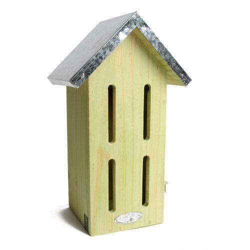 Maison à papillons