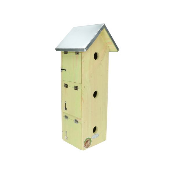 Sparrow nesting block of flats