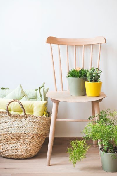 Chaise 35, hêtre, non traité
