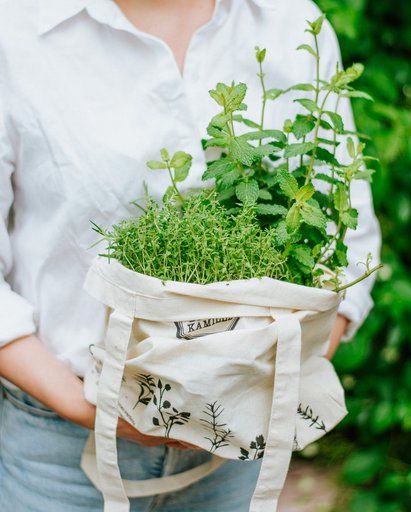 Bee's Wrap Reusable Herb Bags, Set of 3, Cotton & Beeswax on Food52