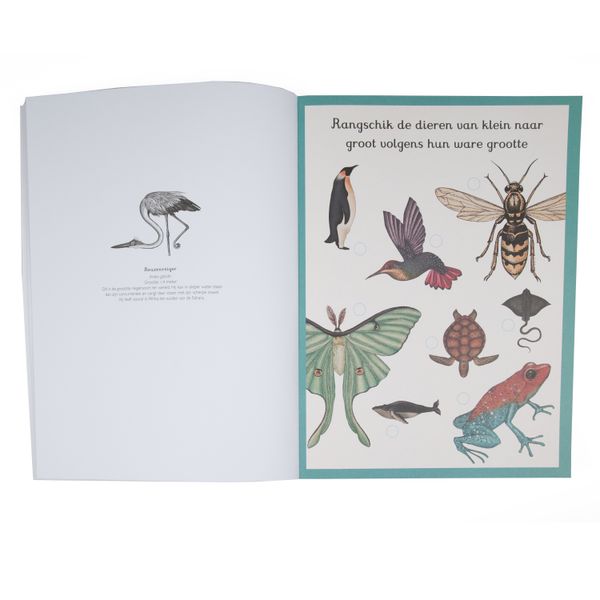 Livre à jouer : les animaux