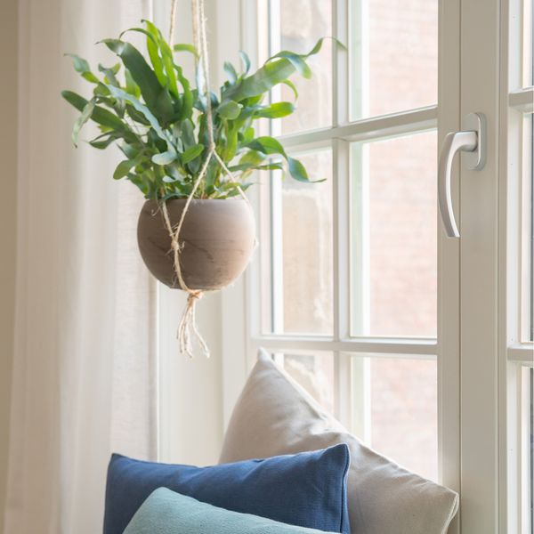 Flowerpot with hanging rope, terracotta