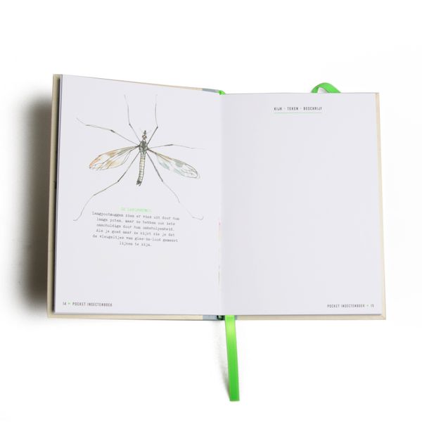 Taschen-Insektenbuch