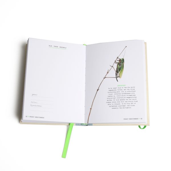 Taschen-Insektenbuch