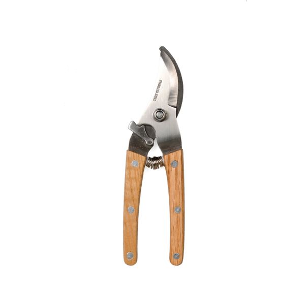 Pruning shears   