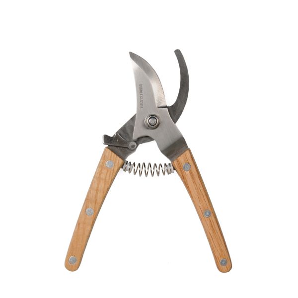 Pruning shears   