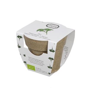 Mini-persil biologique en pot