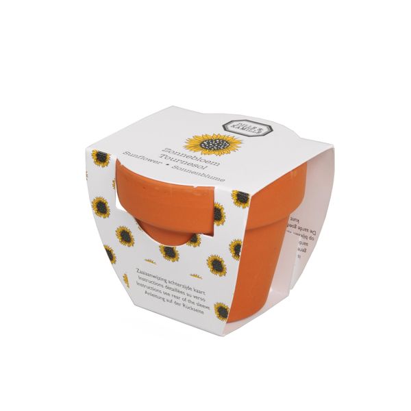 Dille & Kamille Mini-topf mit sonnenblume