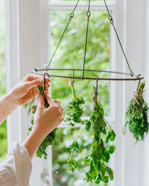 Flower and herb dryer 