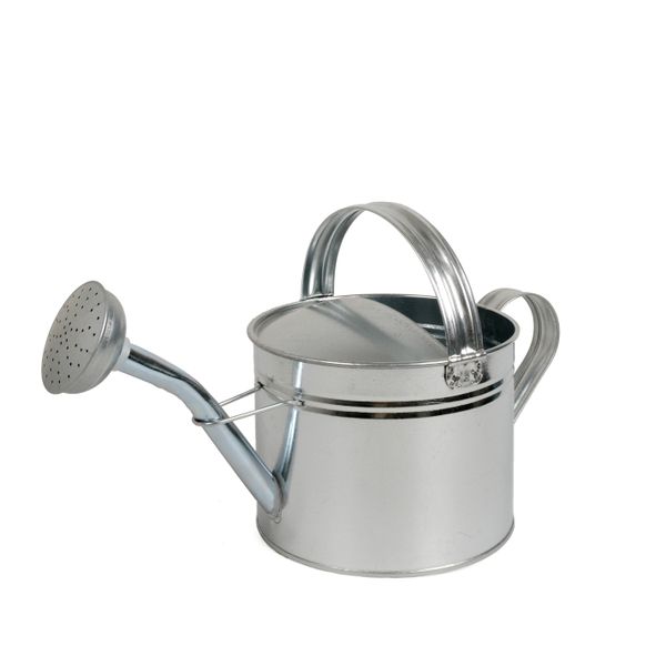 Watering can, zinc, natural metal, 4 l