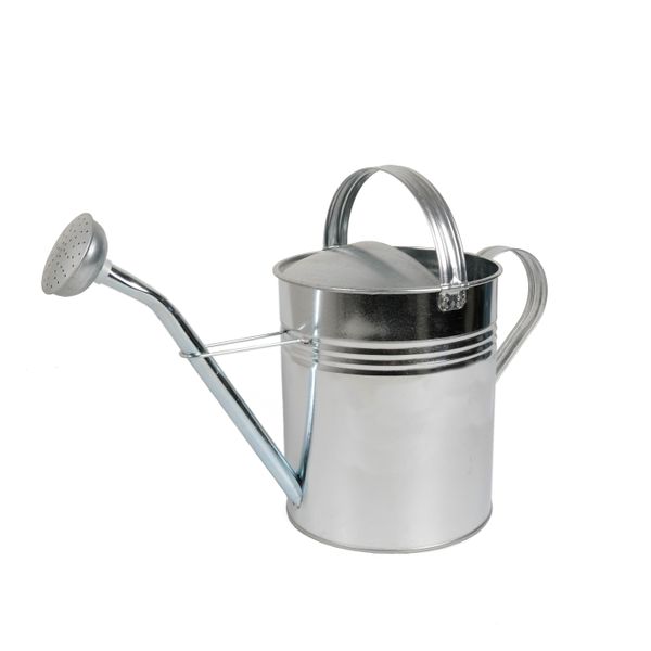 Watering can, zinc, natural, 8.5 litres