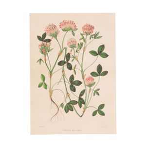 Card, red clover design        