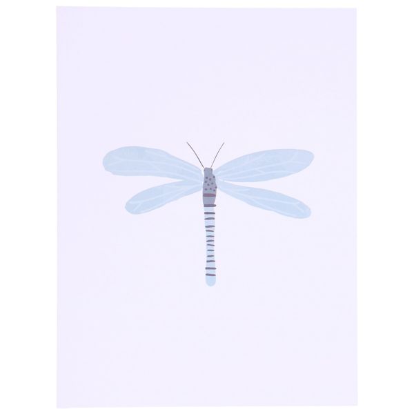 Poster, libelle, 18 x 24 cm 