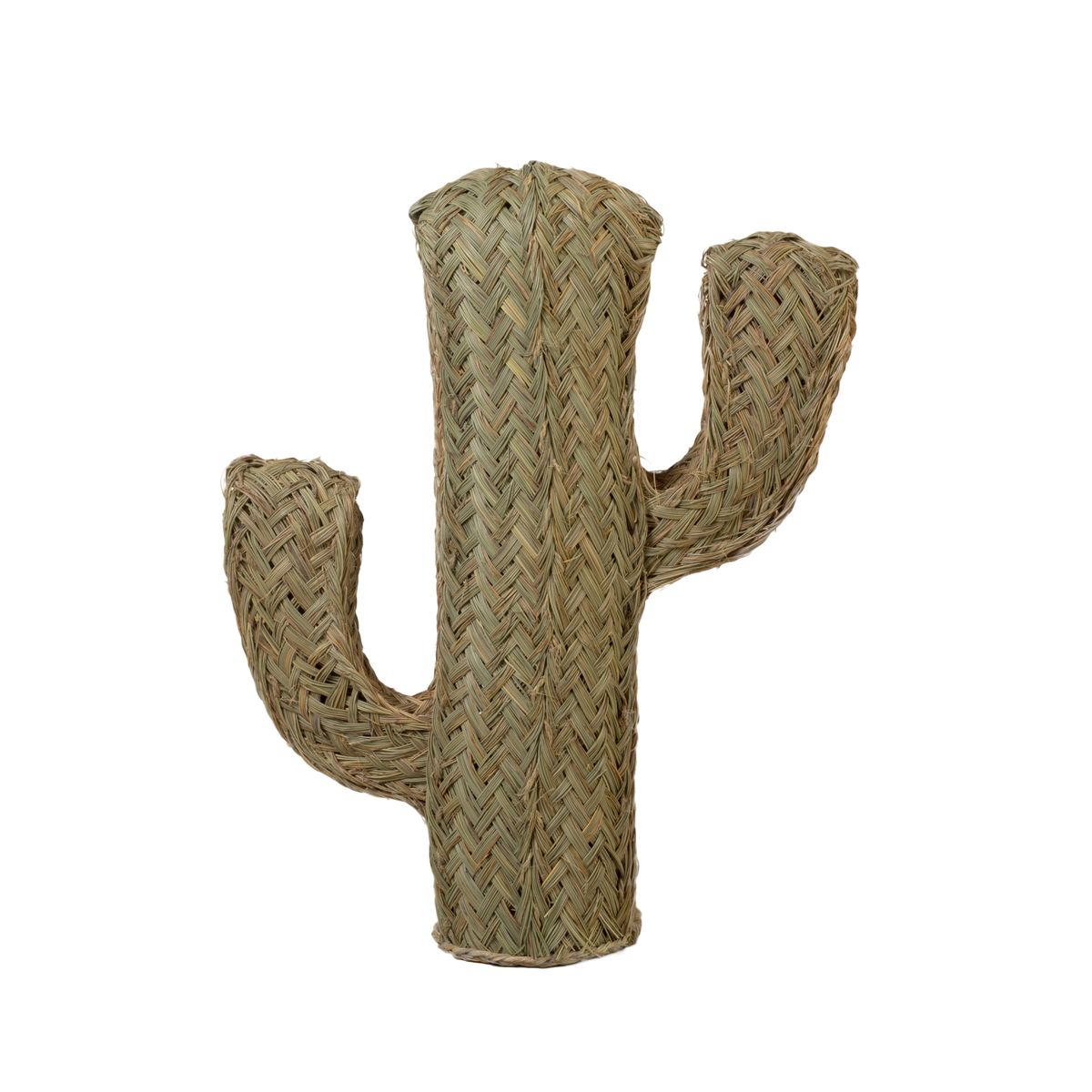 Cactus, espartogras, 55 cm | | Dille & Kamille