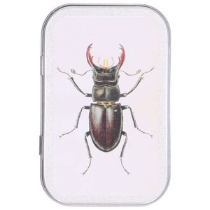 Boîte en fer blanc, scarabée, 10 x 6 cm