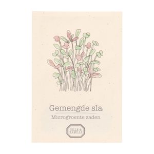 Mikrogemüse (Microgreens), gemischter Salat 