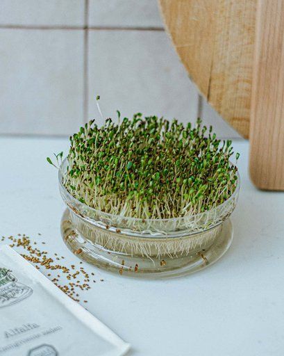 Kiemgroente, biologisch, salade mix