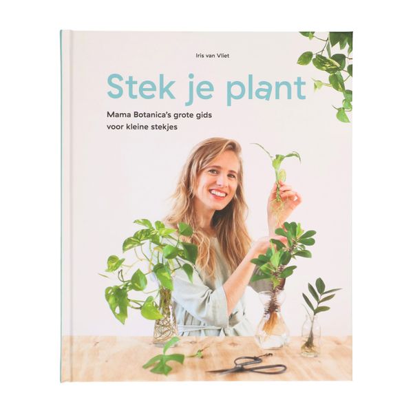 Image of Stek je plant, Mama Botanica