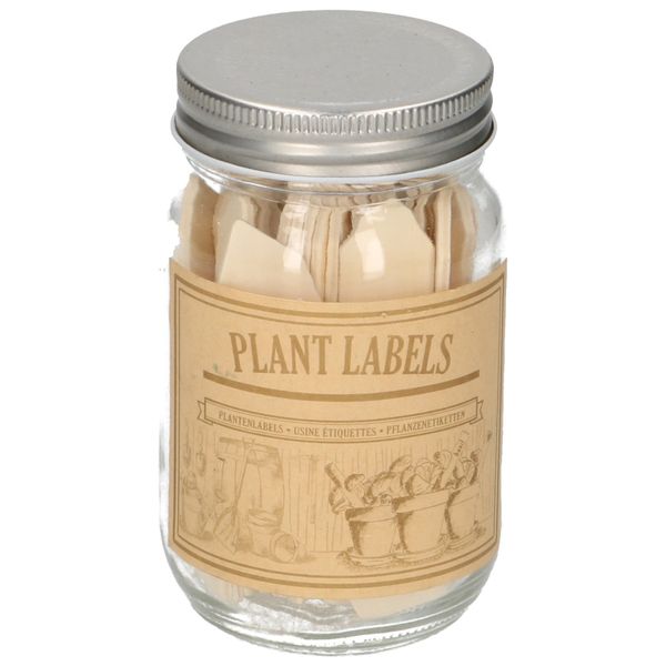 Plant labels in jar, wood, pack of 40