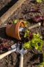 Tuingereedschapset kind, zink en hout, 3-delig, 3+ Tuingereedschapset kind, zink en hout, 3-delig, 3+