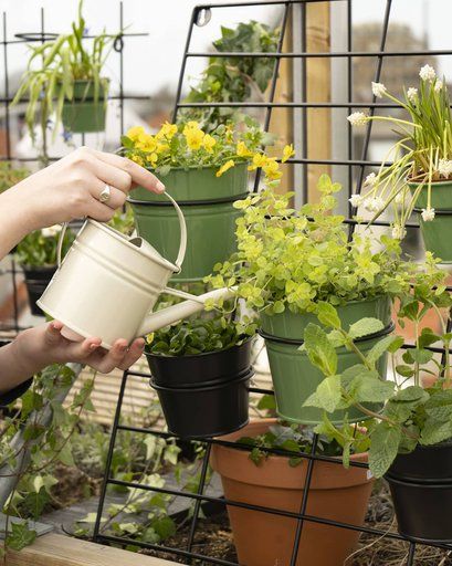 Gieter, zink, groen, 0,9 l