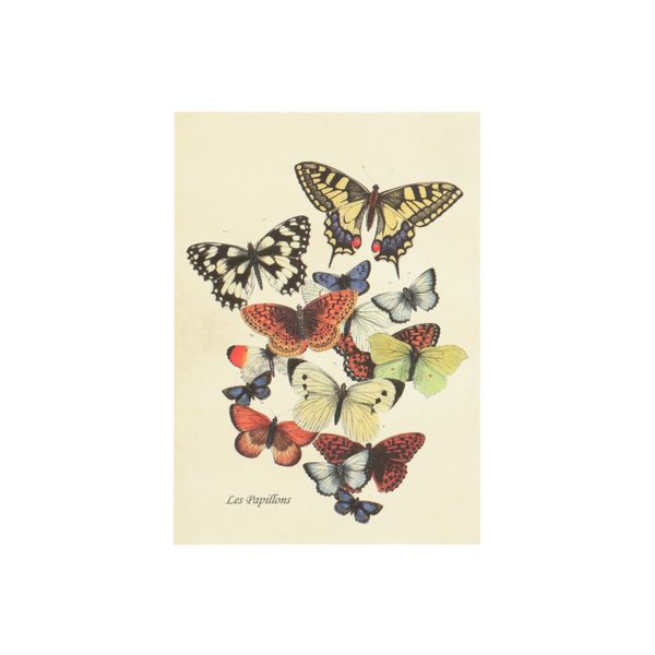 Kaart, vlinders