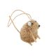 Borstelbeest muis