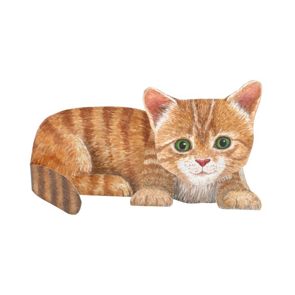 Kaart 3D met envelop, kat