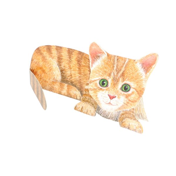 Card 3D with envelope, cat