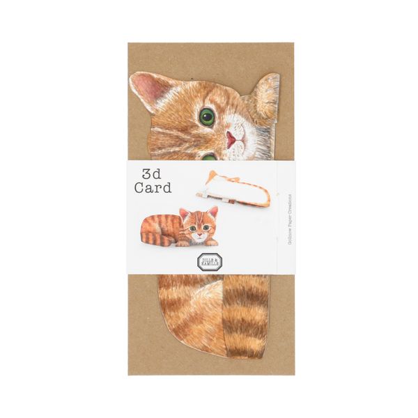 Carte 3D et enveloppe, chat Carte 3D et enveloppe, chat
