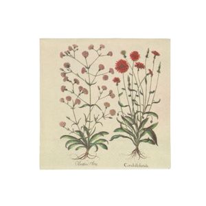 Napkins, paper, botanical print, 25 x 25 cm