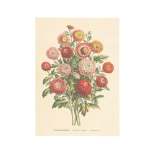 Kaart, bosje chrysanten