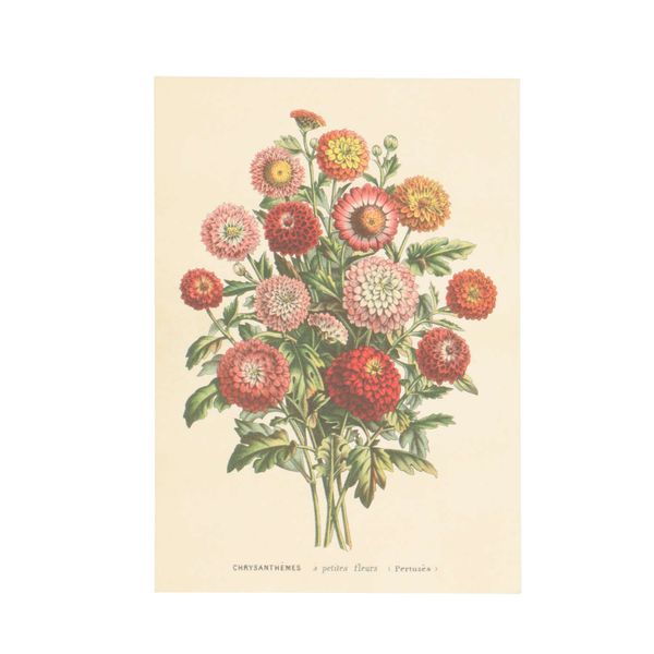 Kaart, bosje chrysanten