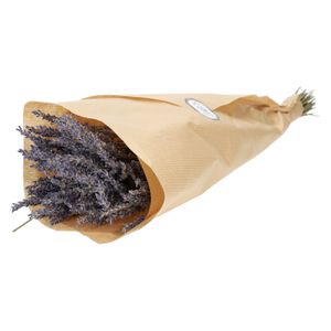 Trockenblumen, Lavendel Trockenblumen, Lavendel