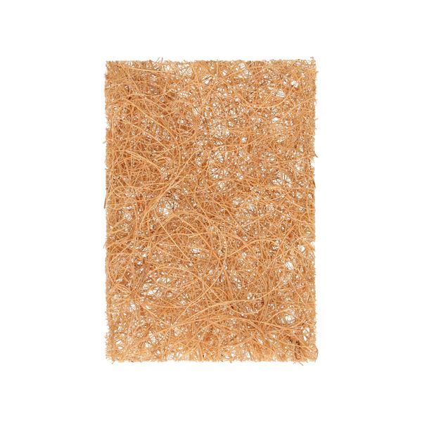 Scouring sponge, coconut fibre