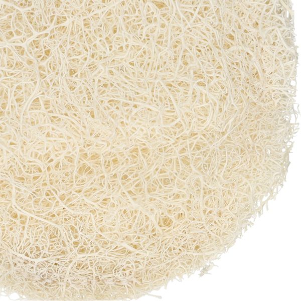 Eponge de nettoyage, loofah