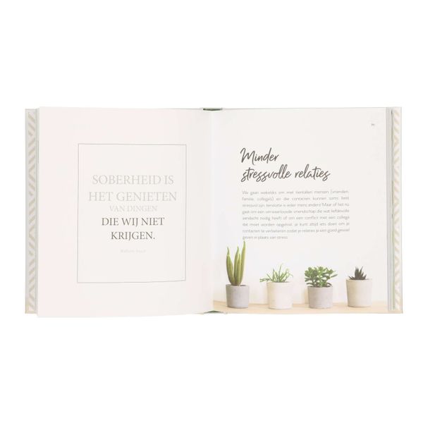 All you need is less, Vicki Vrint