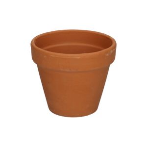 Blumentopf mit Rand, Terrakotta, Ø 10 cm