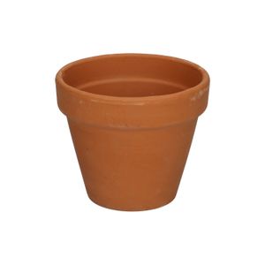 Flower pot with rim, terracotta, ⌀ 10 cm