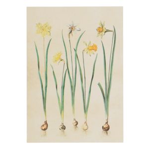 Card, daffodils design