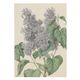 Card, lilacs design