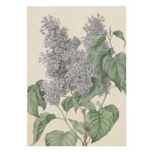 Card, lilacs design