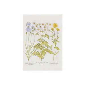 Card, daisy