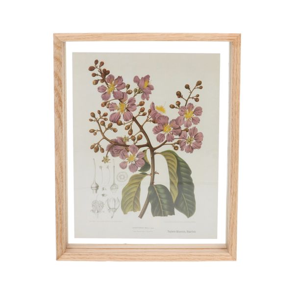 Fotolijst, eikenhout, 20 x 25 cm