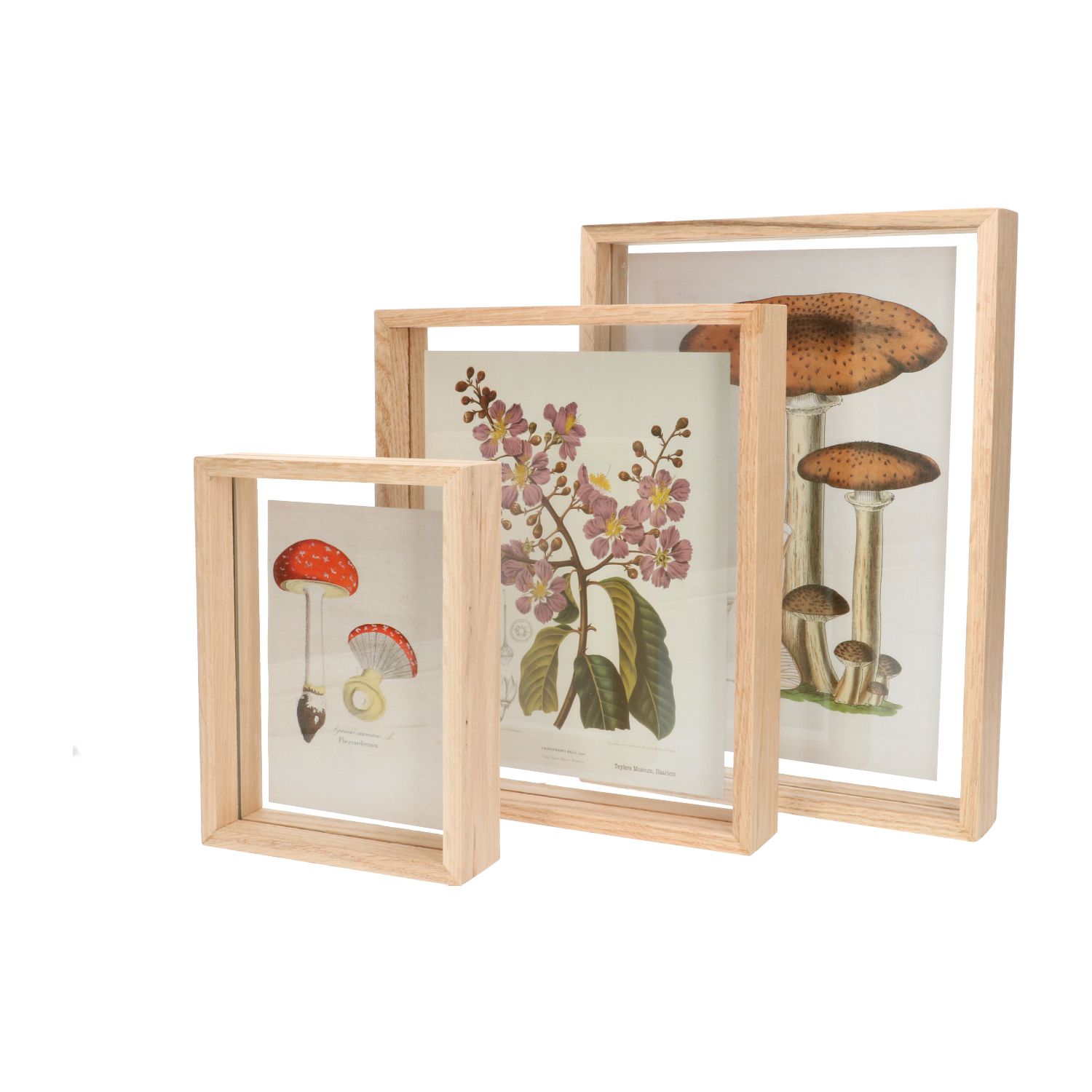 Cadre Photo Carré En Bois Pour Fleurs Sèches - 20,3 Cm, 22,9 Cm Ou 25,4 Cm Avec Verre | Décoration Unique - 3