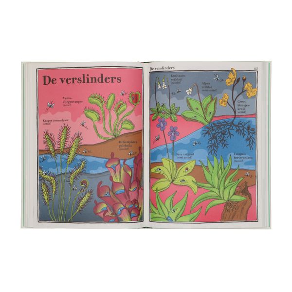 De vrolijke planten encyclopedie, Adrienne Barman