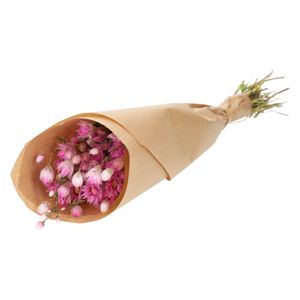 Droogbloem Rhodanthe roze